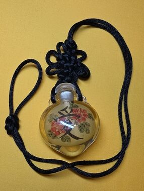 Vintage Chinese Inside Reverse Painted Glass Snuff Bottle Necklace ▪︎ 16" Long